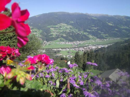 Hostal G�stehaus Rieser