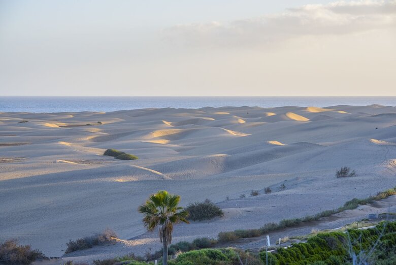 Aparthotel Casas Pepe Apartments & Spa- Adults Only