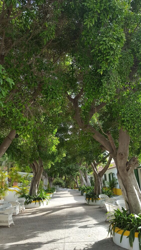 Hotel Cortijo San Ignacio