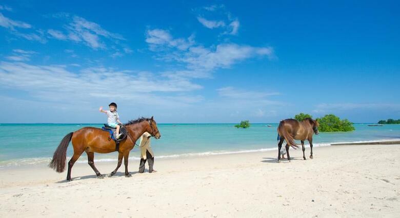 Hotel Sea Cliff Resort And Spa Zanzibar
