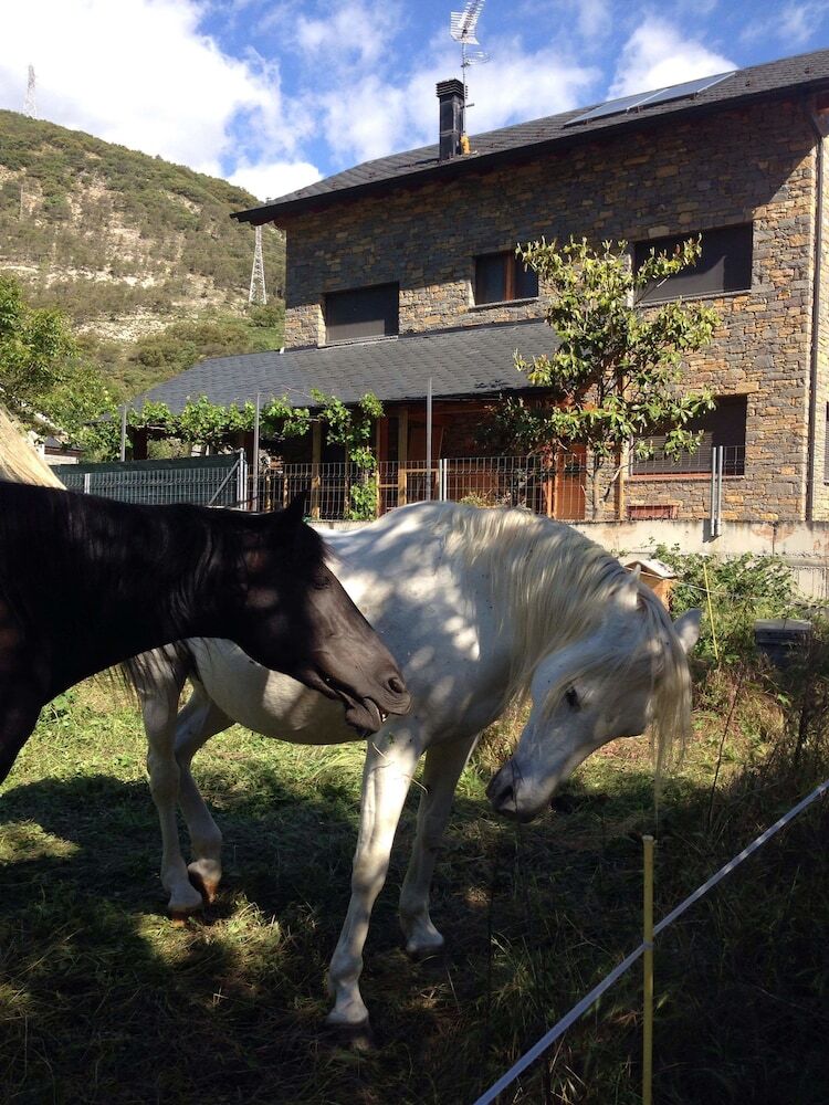 Bed & Breakfast Can Congost