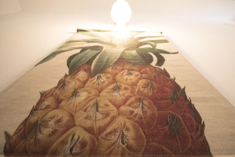 Hostal Surfing Etxea - Hostel