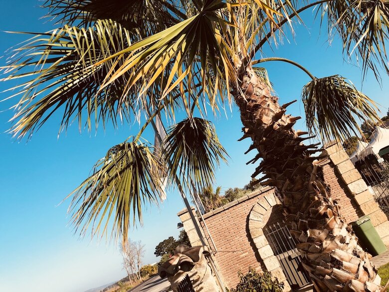 Hotel N�madas Vejer