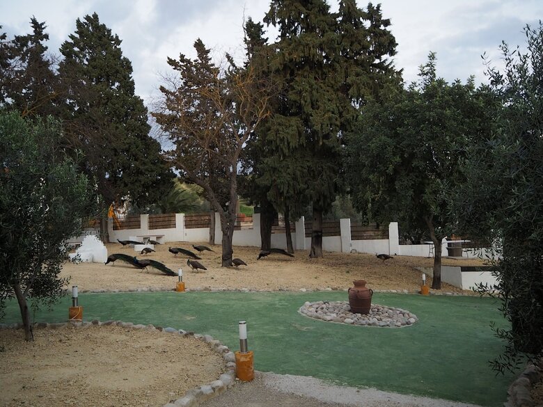 Hotel Hacienda Marcharavi