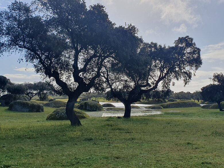 Hotel Rural El Vaqueril
