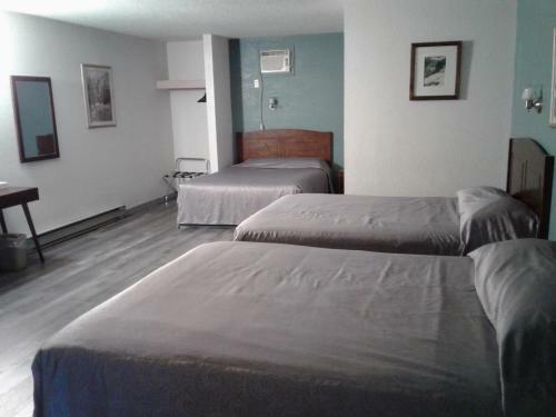 Motel Alpine Inn