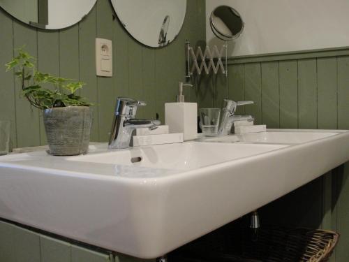 B&B Hedera