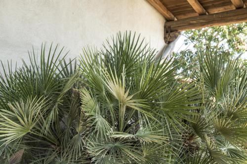Bed & Breakfast La Dimora Di Samu
