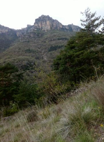 Bed & Breakfast Auberge Les Cardabelles