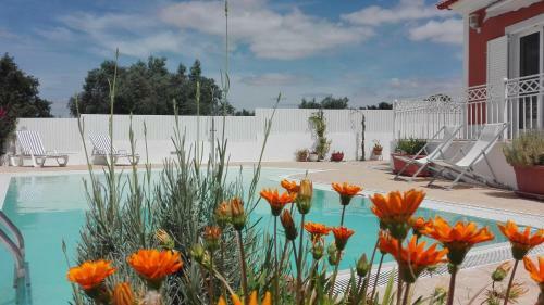 Hostal Guest House Aldeia