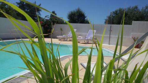 Hostal Guest House Aldeia
