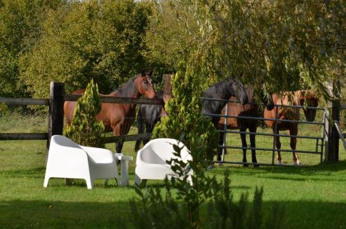 Bed & Breakfast Le Pr� Aux Daims