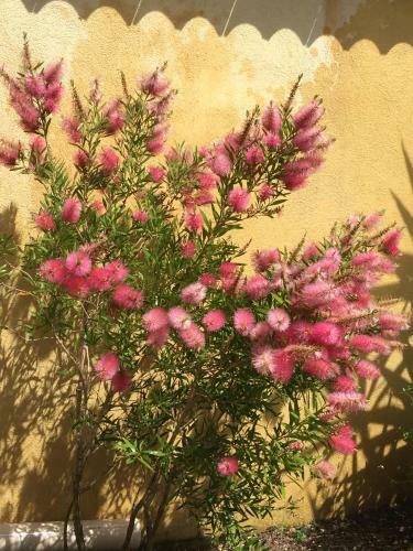Bed & Breakfast Le Verger De Sauvebonne