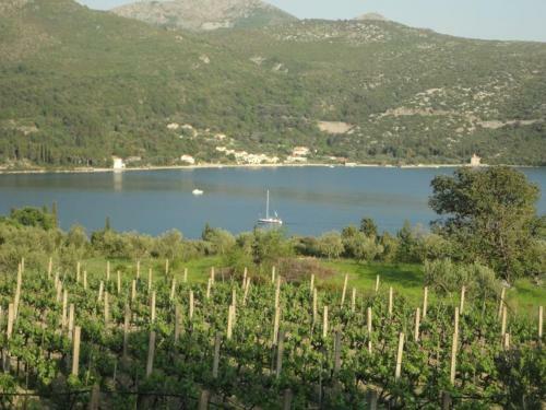 Hostal Guest House Pavkovic