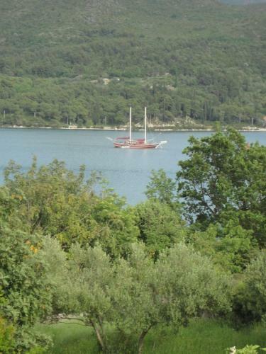 Hostal Guest House Pavkovic