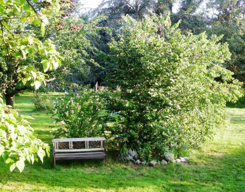 Bed & Breakfast Aux Berges De La Thur