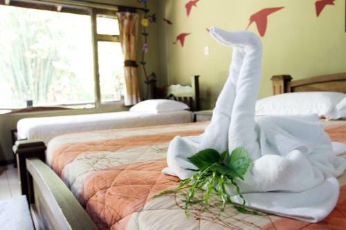 Hotel Kokoro