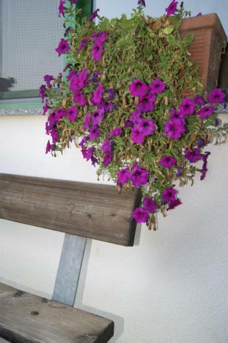 Agroturismo Agriturismo La Valbona
