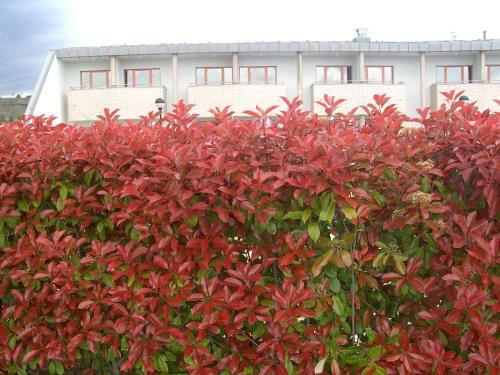 Hotel Verdeal