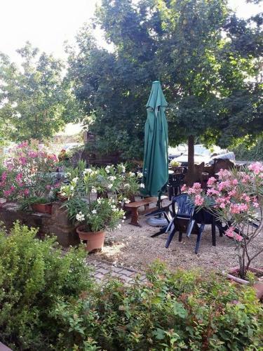 Hostal Borosty�nkert �tterem & Vend�gh�z