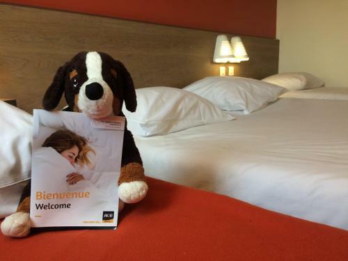 Hotel Ace H�tel Poitiers