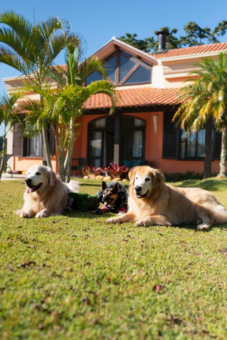 Apartamentos Hotel Villa Rossa