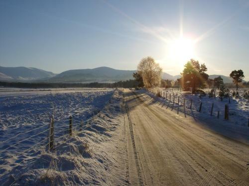 Cairngorm Lodge Youth Hostel