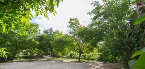 Agroturismo Los Enebros Nerpio