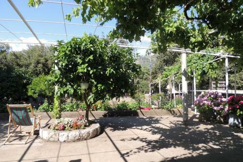 Apartments Lidija