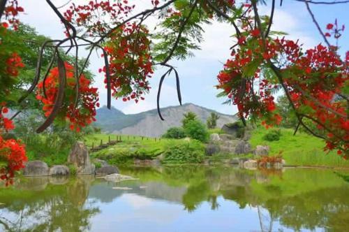 Bed & Breakfast Garden Rose Homestay