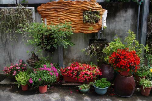 Bed & Breakfast Lost And Find Homestay