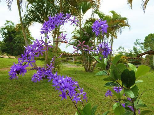 Hotel Finca El Cielo