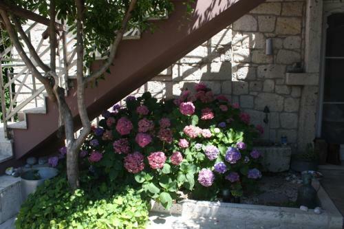 Hostal Sakin Ev Hotel