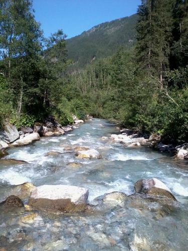Hotel Garni Forelle