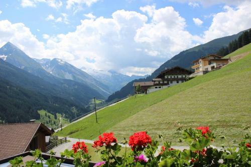 Apartamento Landhaus Geisler