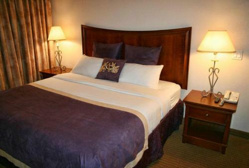 Hotel Arbor Inn And Suites