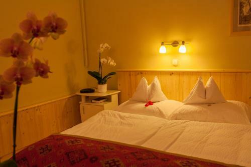 Hostal F�bi�n Panzi�