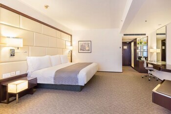 Hotel Regal Airport