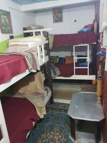 Petit Hostel Carolina