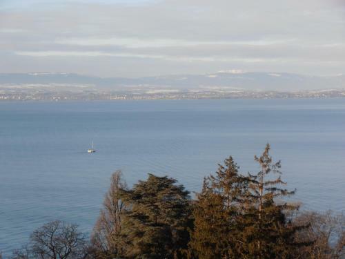 Hotel H�tel Evian Express - Terminus
