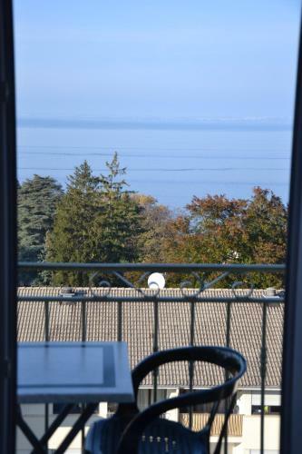 Hotel H�tel Evian Express - Terminus
