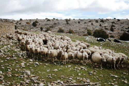 Agroturismo Alojamientos Rurales Las Carcavas