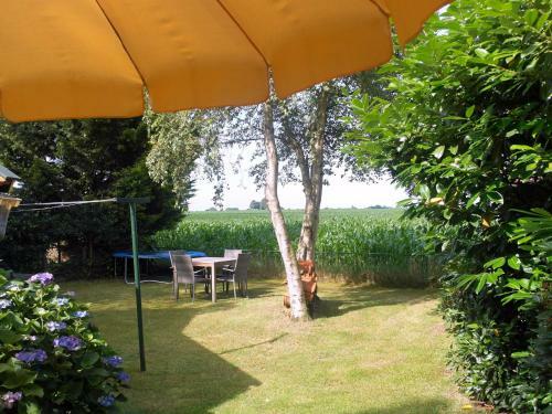 Cozy Holiday Home In Twenterand With Meadow View