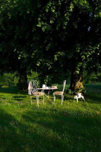 Bed & Breakfast Manoir de La Foulquetiere