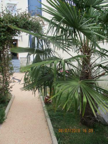 Apartamento C�t� Marne