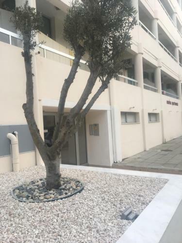 Marina Apartments 211