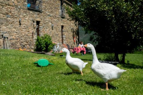 Agroturismo Casa Arana - Parque Nacional De Ordesa