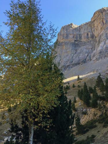 Agroturismo Casa Arana - Parque Nacional De Ordesa
