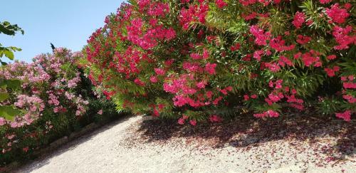 Bed & Breakfast La Pastorale