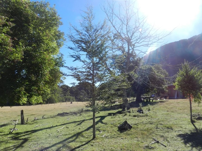 Agroturismo Caba�as Allipen